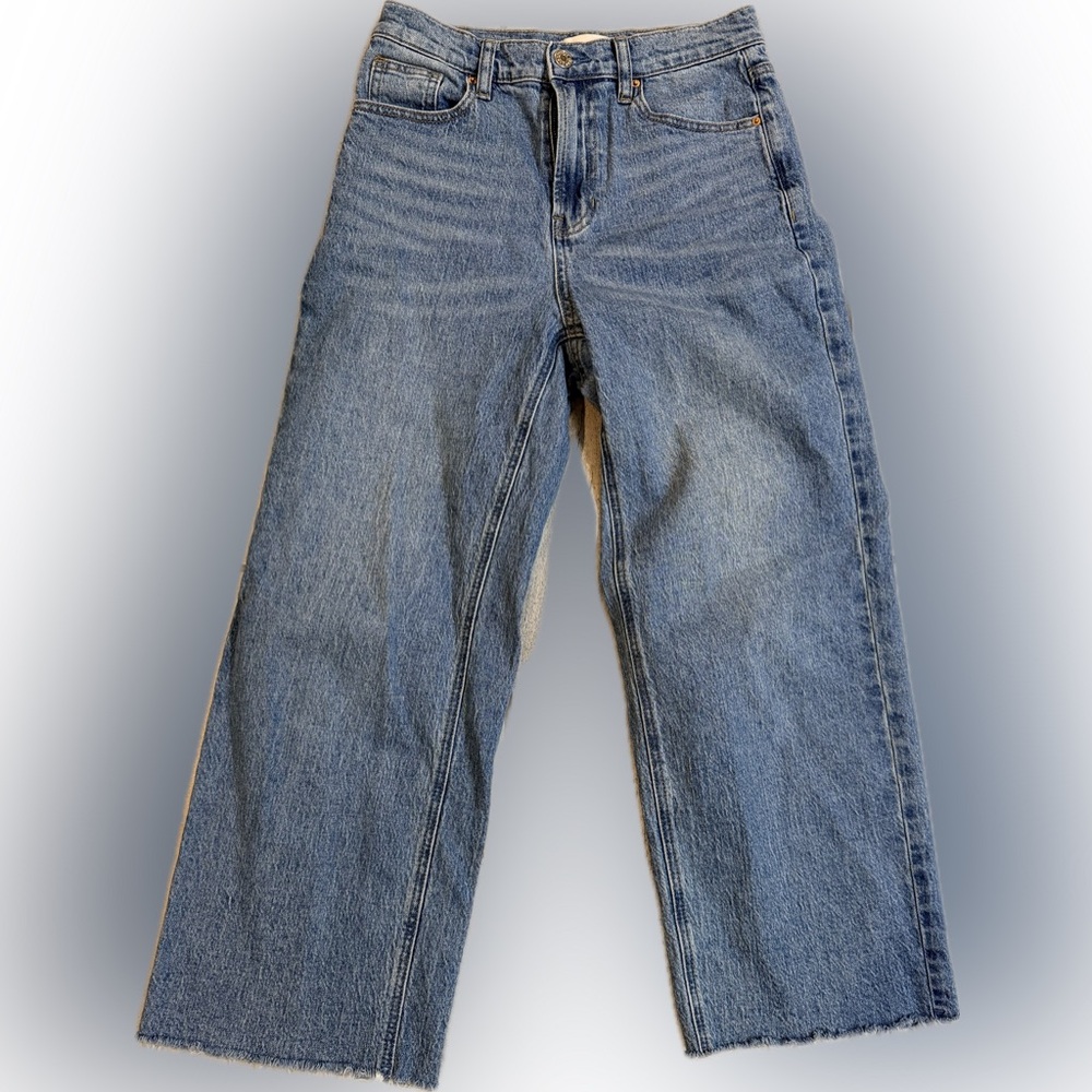 PacSun Relaxed Fit Nora Wide Leg Blue Jeans